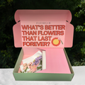Box Packaging